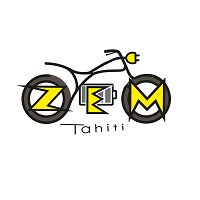 zem logo